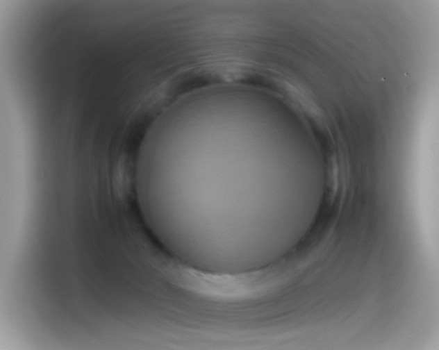 X0000115560030200911131636