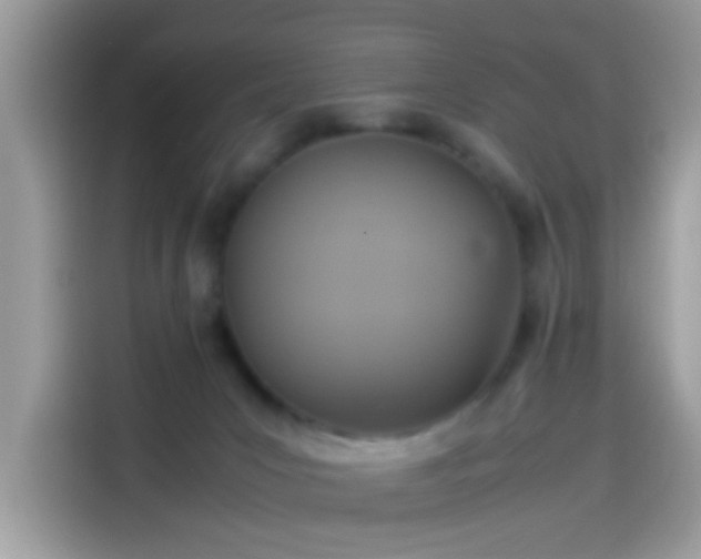 X0000115560031200911131636