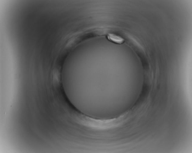 X0000115560035200911131636