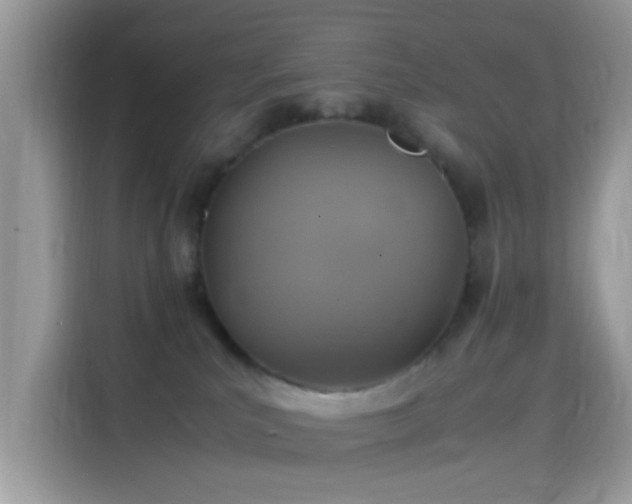 X0000115560039200911131636