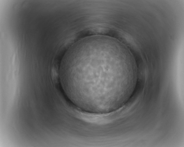 X0000115560040200911131636