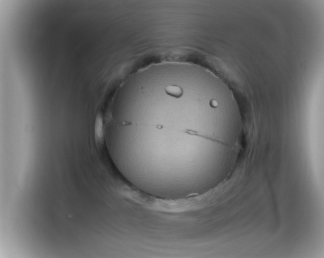 X0000115560041200911131636