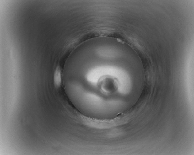 X0000115560042200911131636