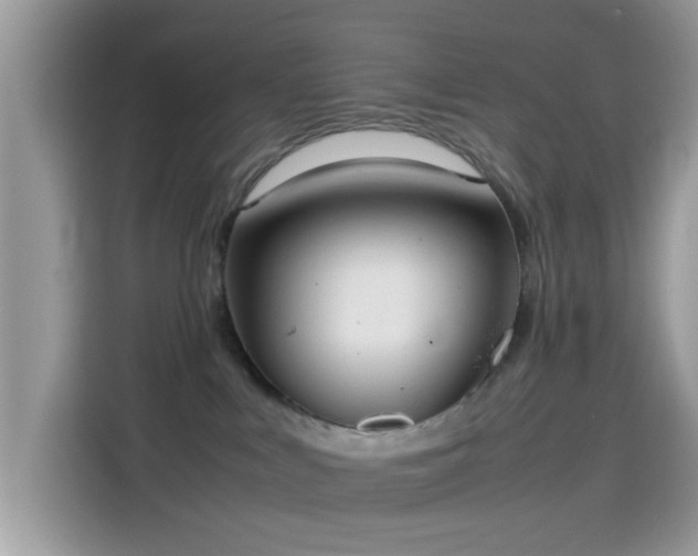 X0000115560043200911131636