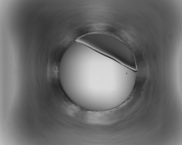 X0000115560045200911131636