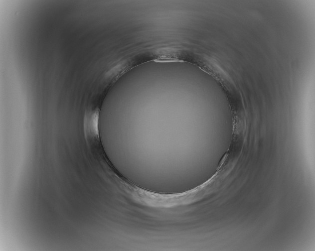 X0000115560047200911131636