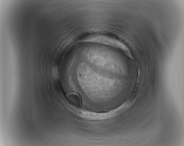 X0000115560048200911131636