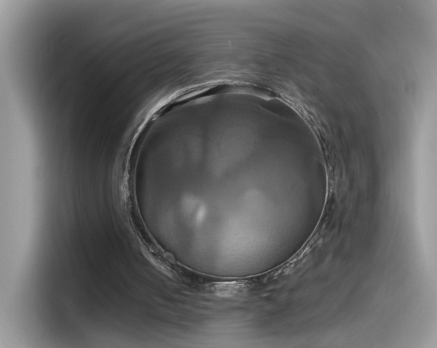 X0000115560050200911131635