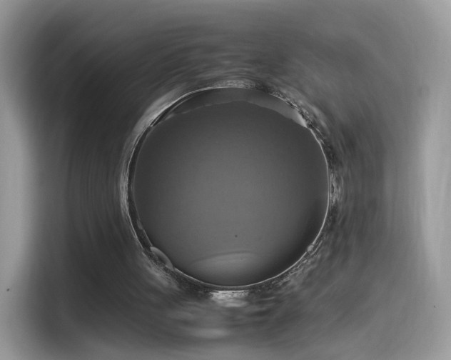 X0000115560051200911131635