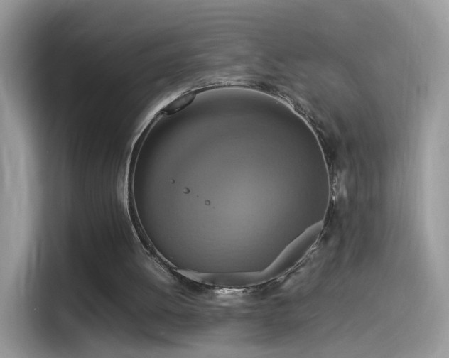 X0000115560052200911131635