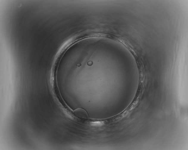 X0000115560053200911131635