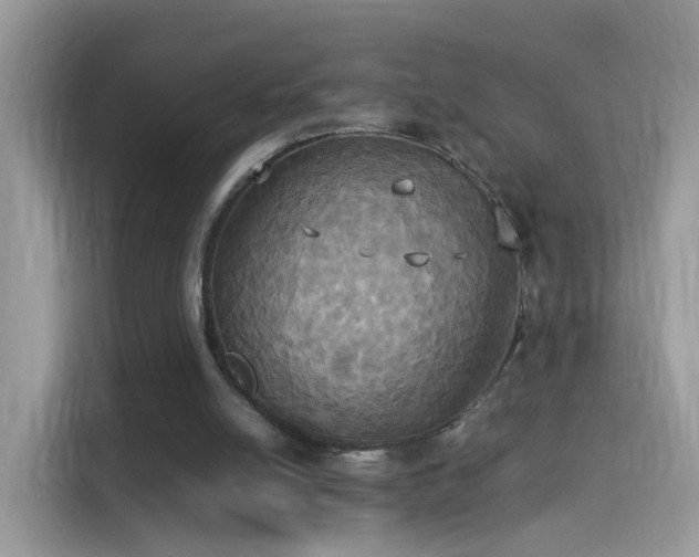 X0000115560054200911131635