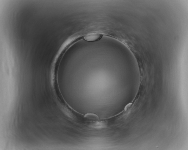 X0000115560056200911131635