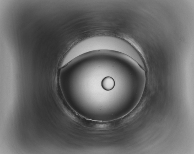 X0000115560057200911131635