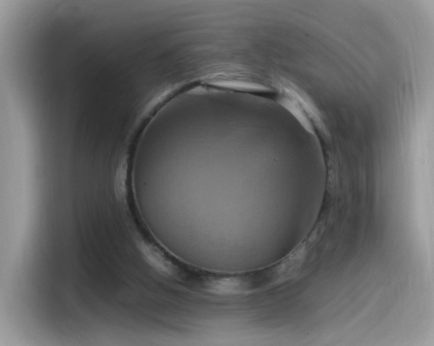 X0000115560058200911131635