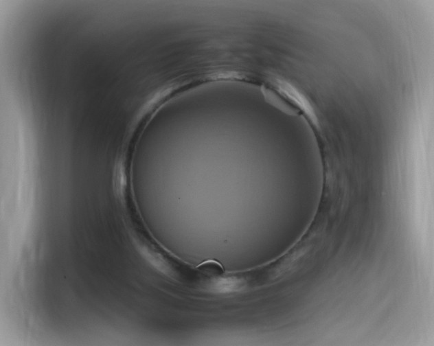 X0000115560059200911131635