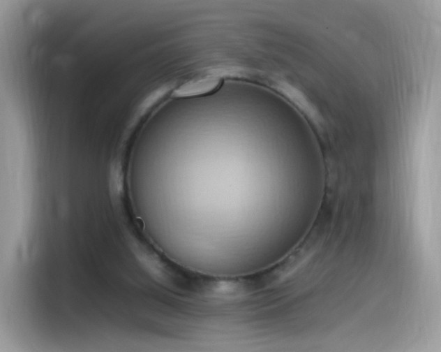 X0000115560060200911131635