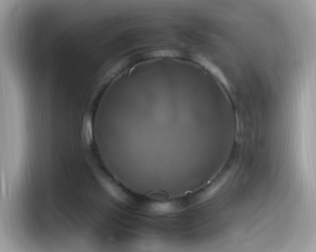 X0000115560061200911131635