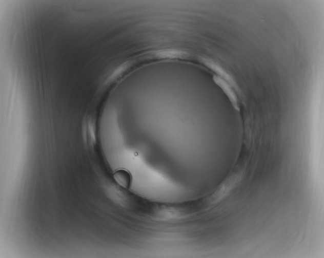 X0000115560062200911131635