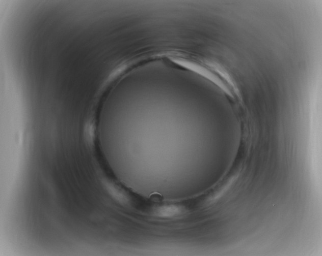 X0000115560063200911131635