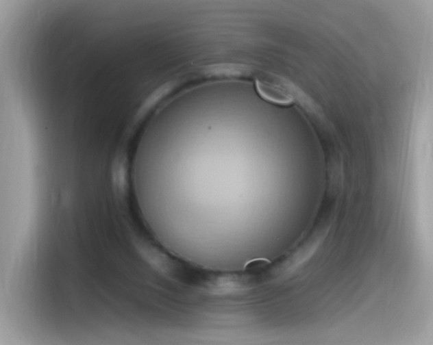 X0000115560064200911131635