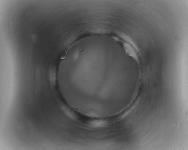 X0000115560065200911131635