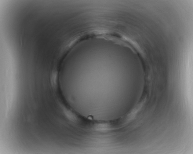 X0000115560066200911131635