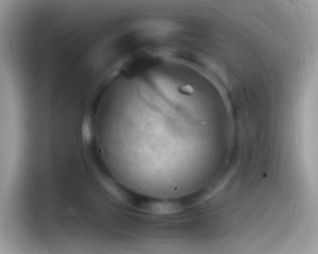 X0000115560069200911131635