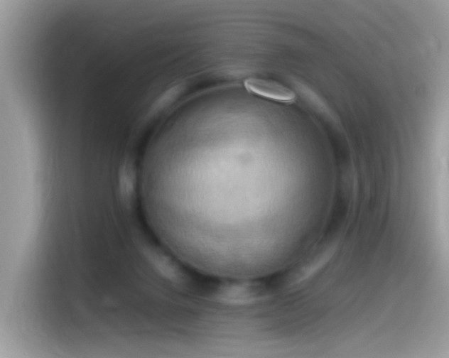 X0000115560072200911131635