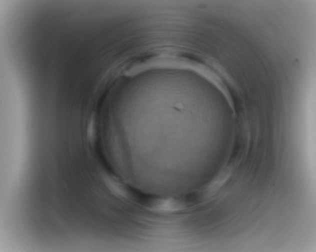 X0000115560074200911131635