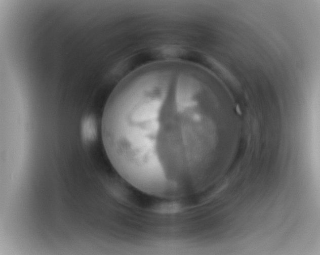 X0000115560075200911131635