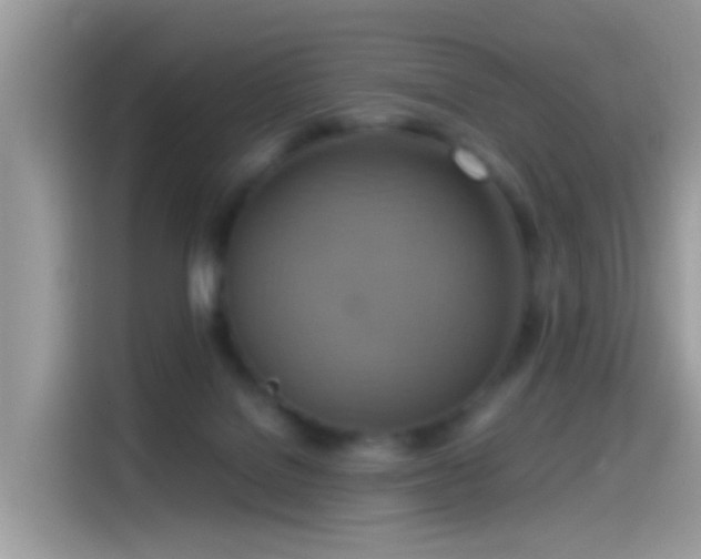 X0000115560076200911131635