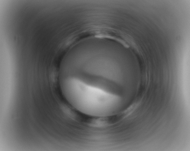 X0000115560078200911131635