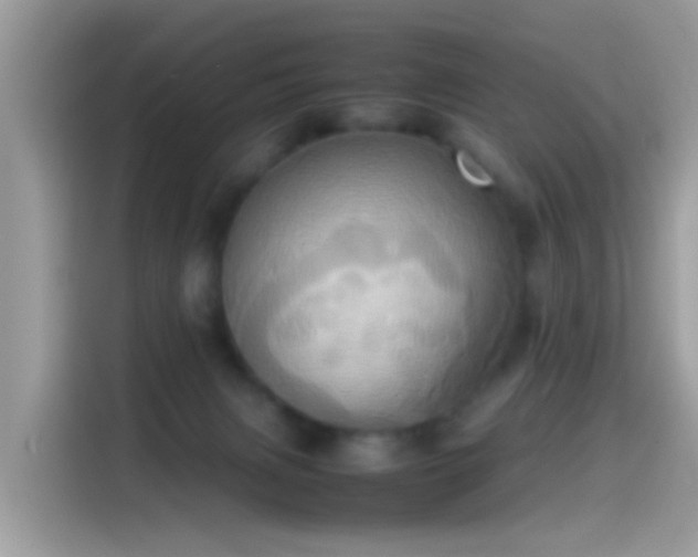 X0000115560079200911131635