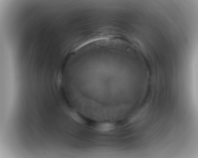 X0000115560081200911131635