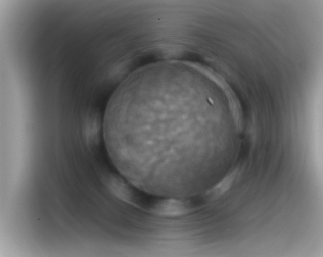 X0000115560082200911131635