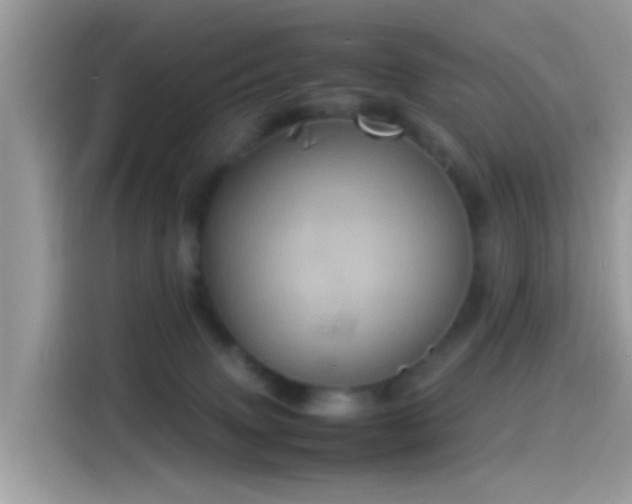 X0000115560083200911131635