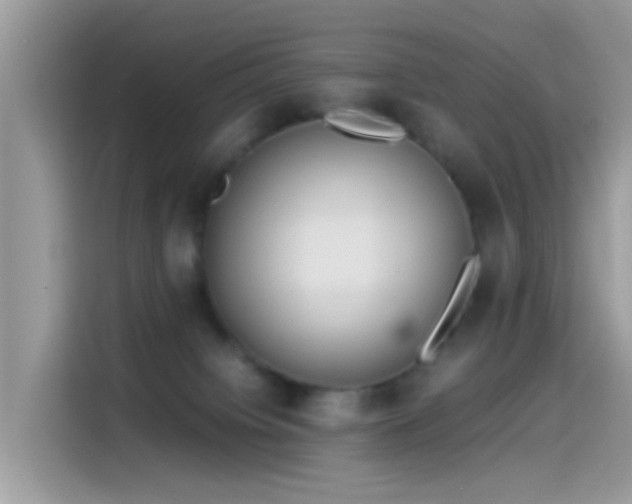 X0000115560084200911131635