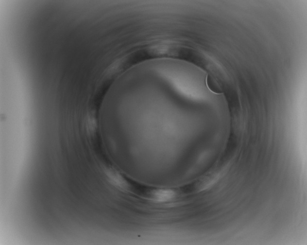 X0000115560085200911131635