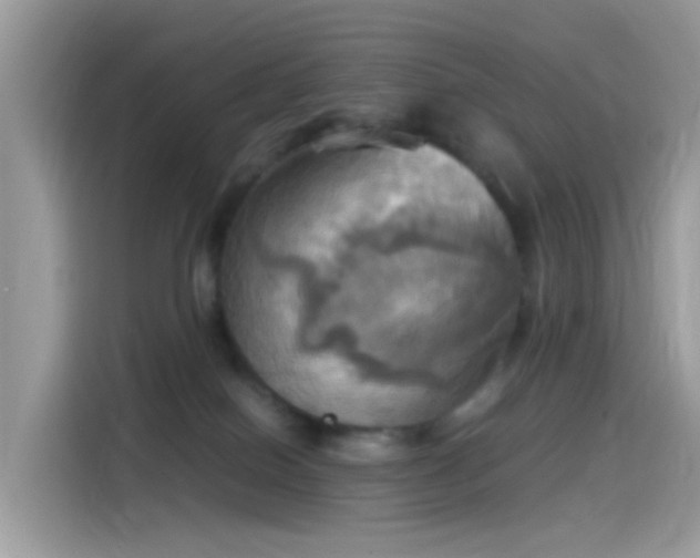 X0000115560086200911131635