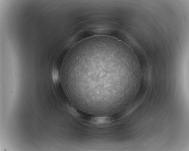 X0000115560089200911131635