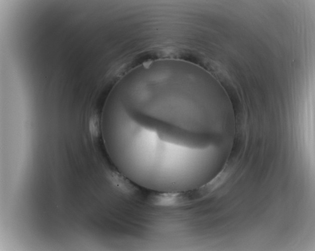 X0000115560090200911131635