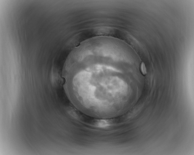 X0000115560091200911131635