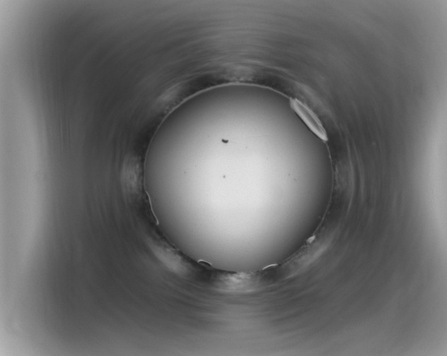 X0000115560092200911131635