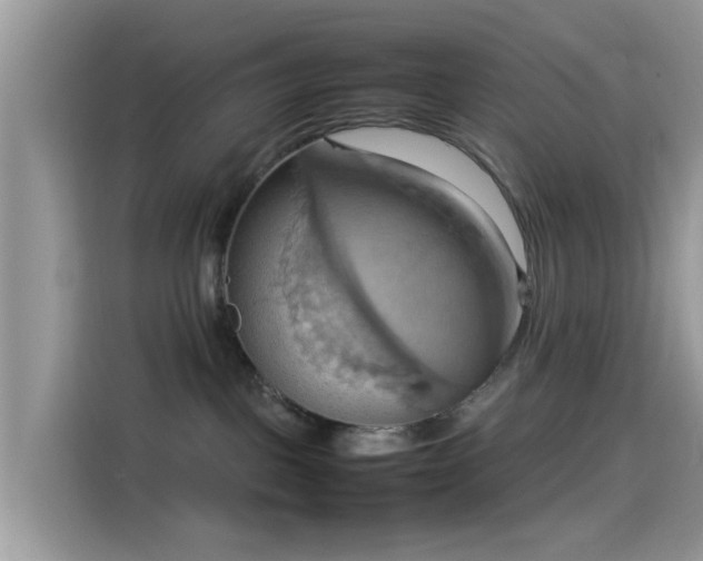 X0000115560093200911131635