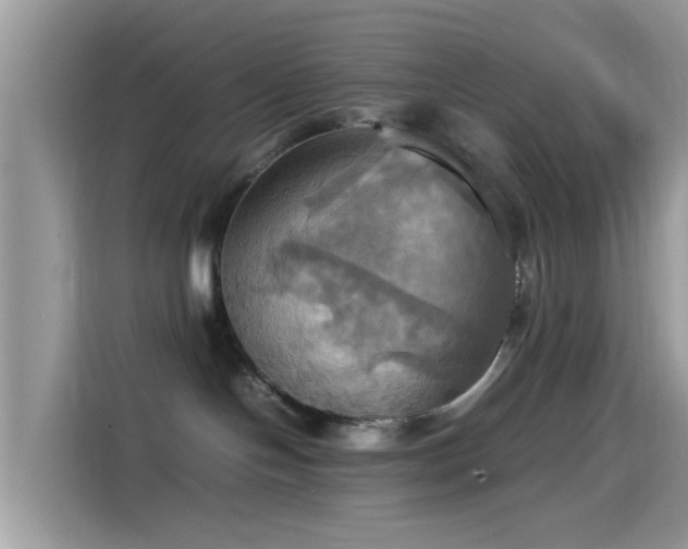 X0000115560094200911131635