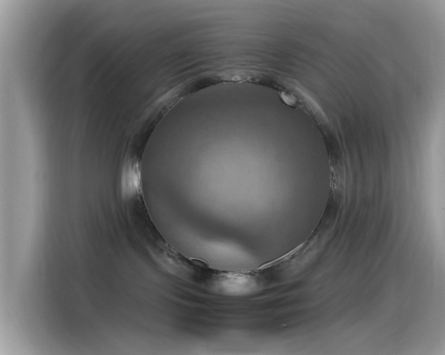 X0000115560095200911131636