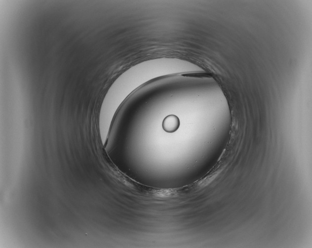 X0000115560096200911131636