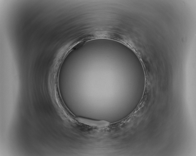 X0000115560097200911131635