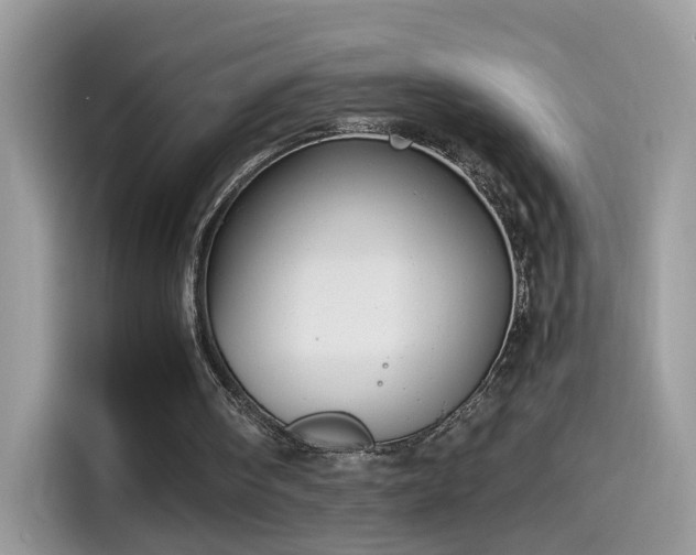 X0000115560098200911131635